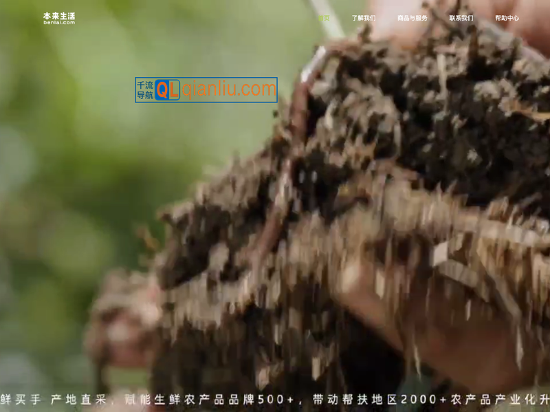 本来生活网插图