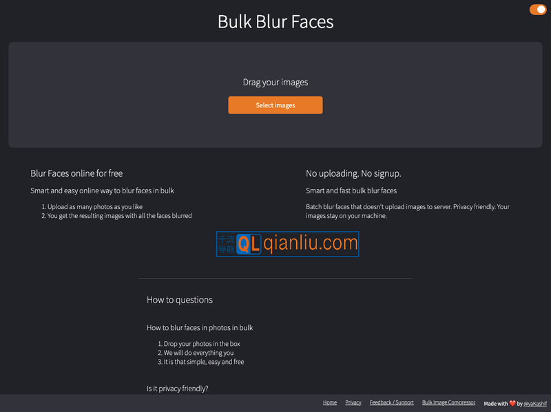 Bulk Blur Faces插图