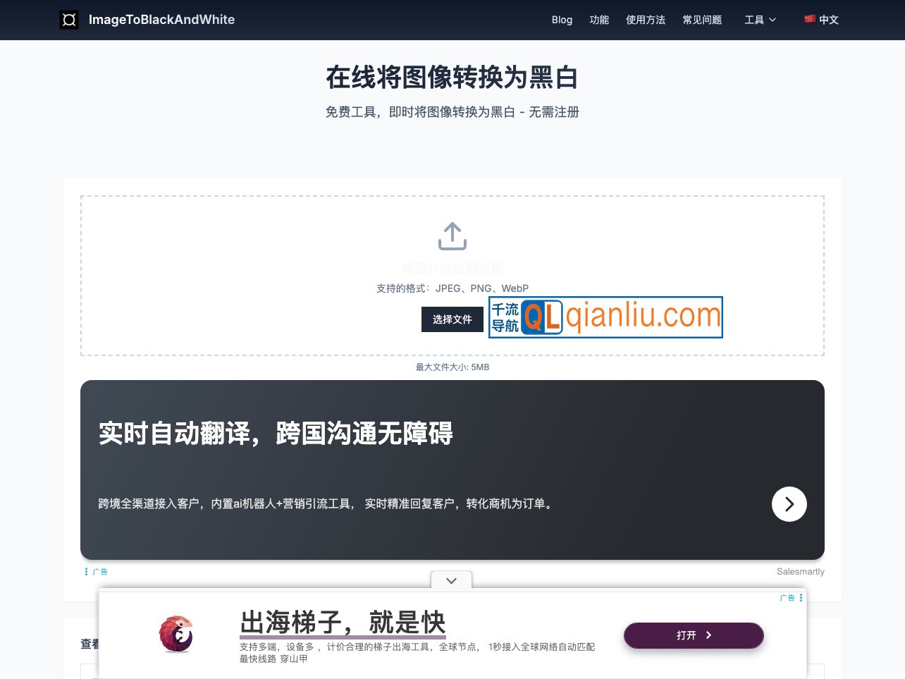 黑白图像转换插图