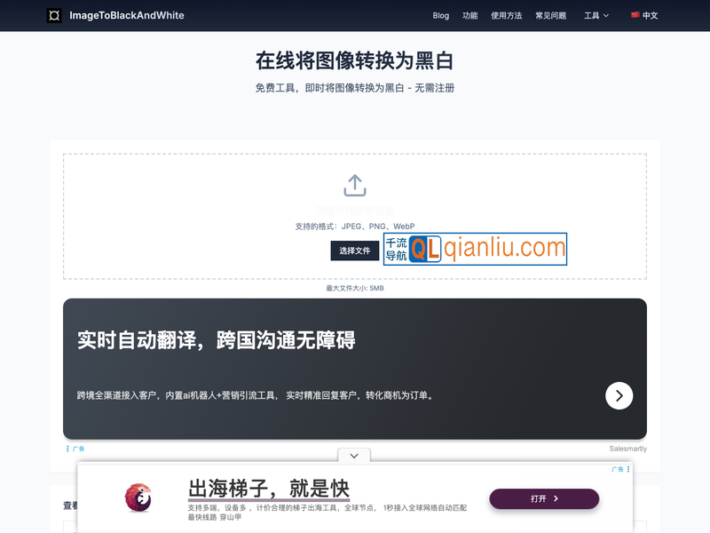 黑白图像转换插图