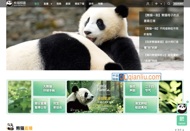 iPanda熊猫频道插图