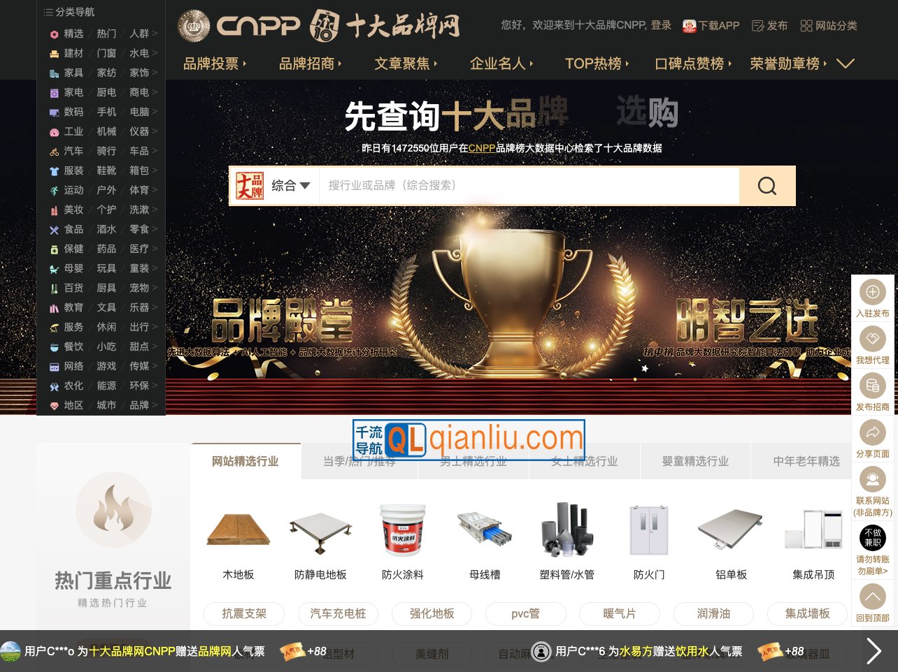 十大品牌网插图