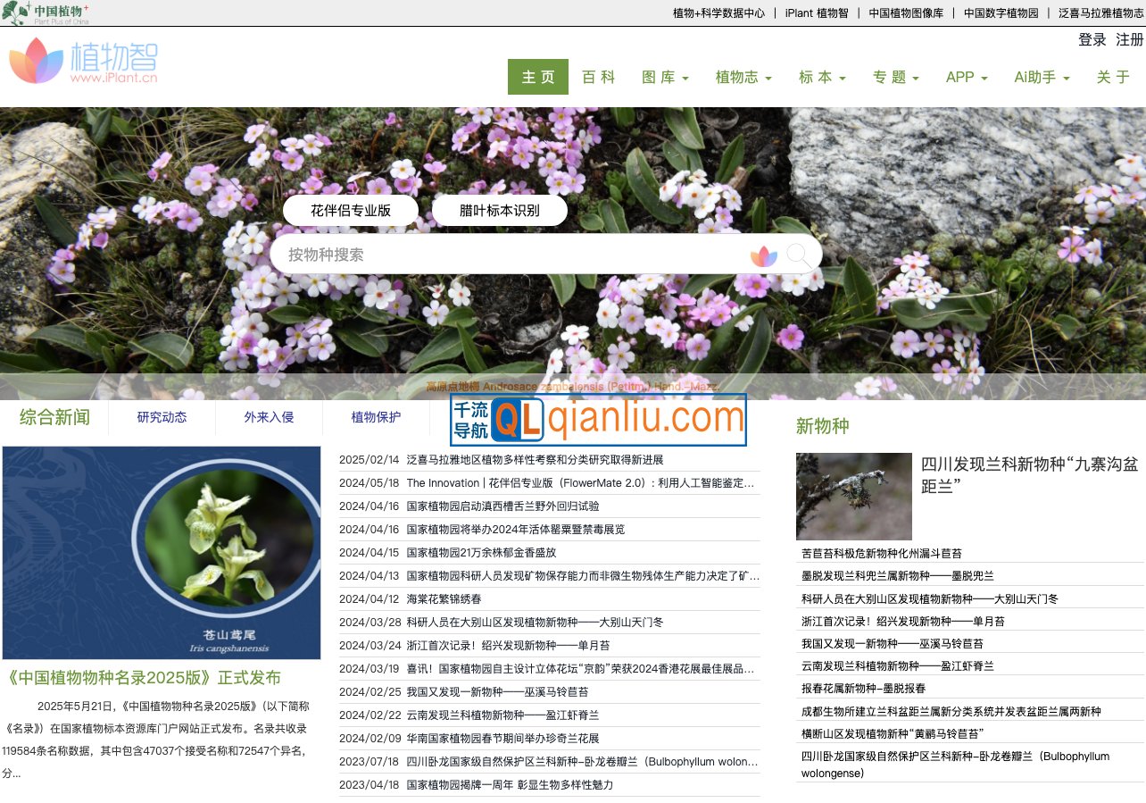 iPlant植物智插图