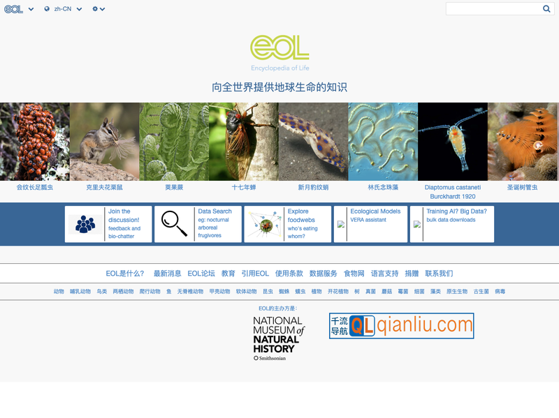 生命大百科插图