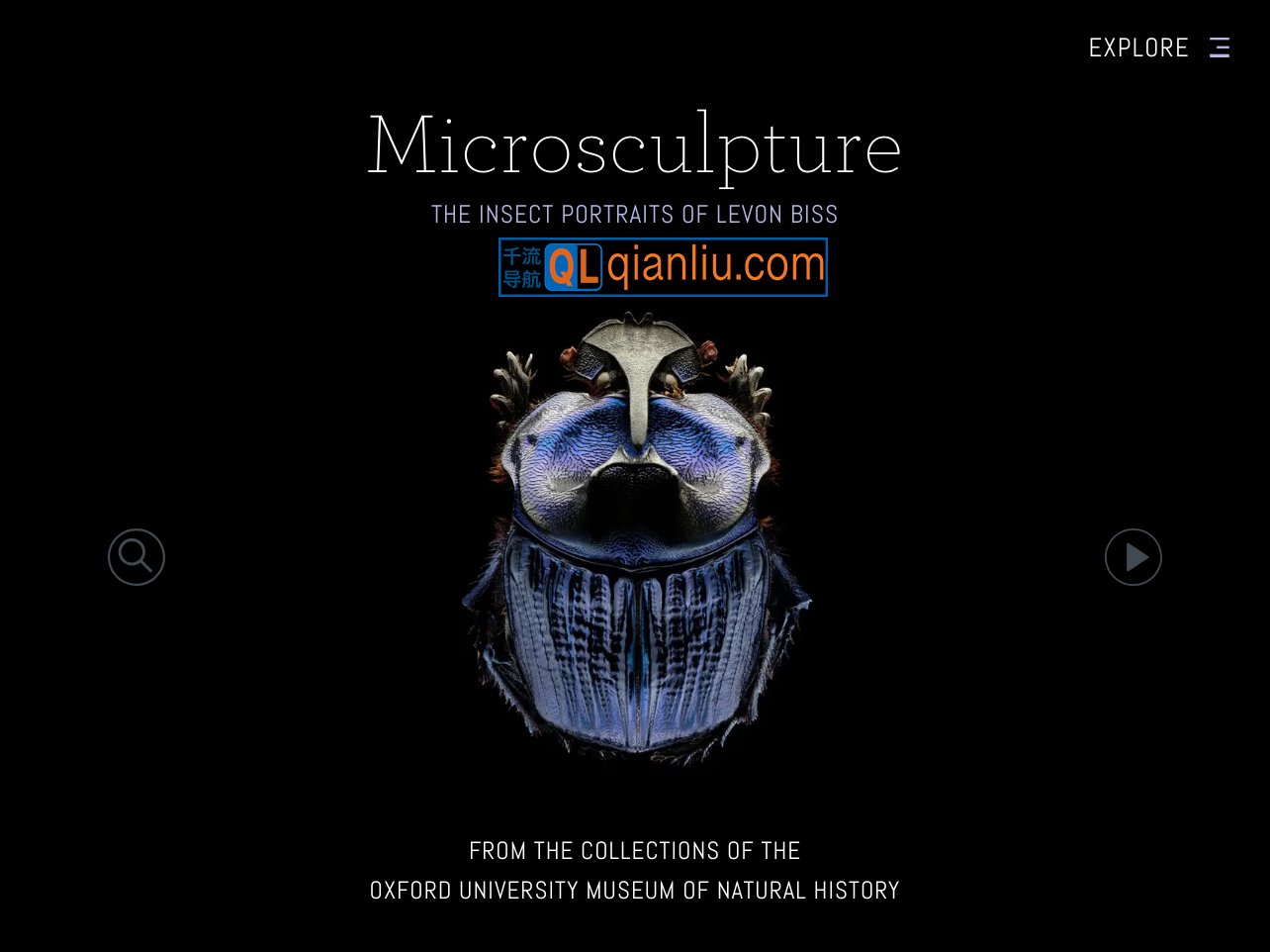 Microsculpture插图