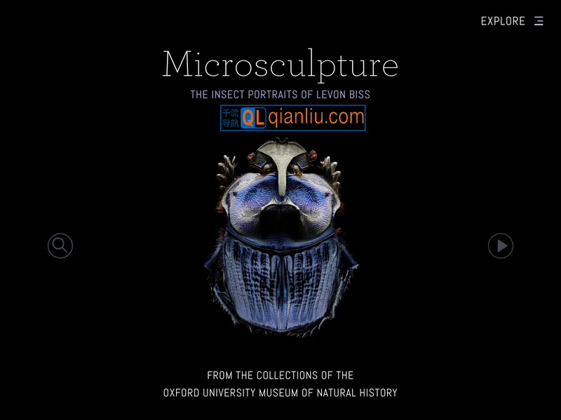 Microsculpture插图