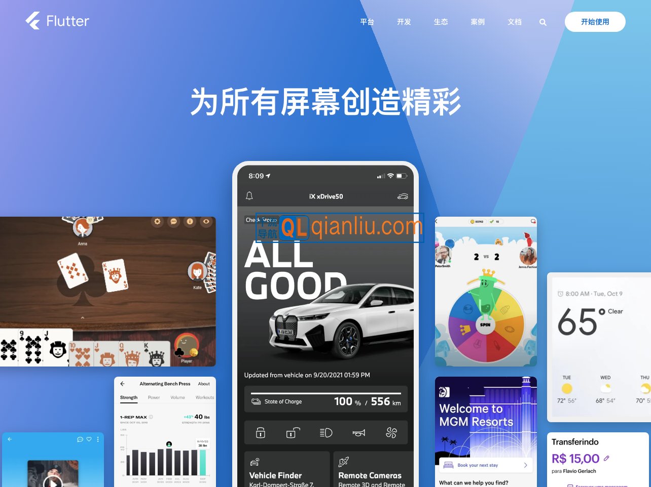 Flutter中文开发者网站插图