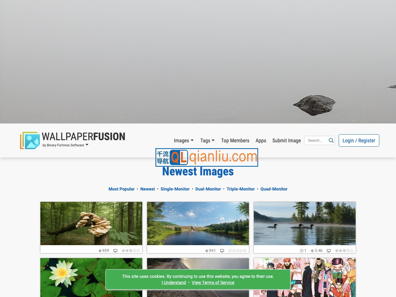 wallpaperfusion插图