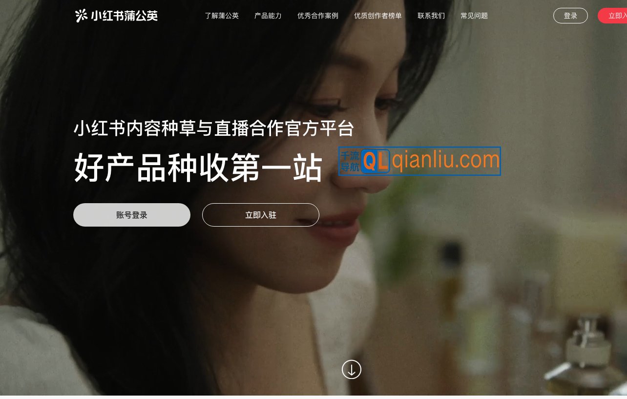 小红书蒲公英插图