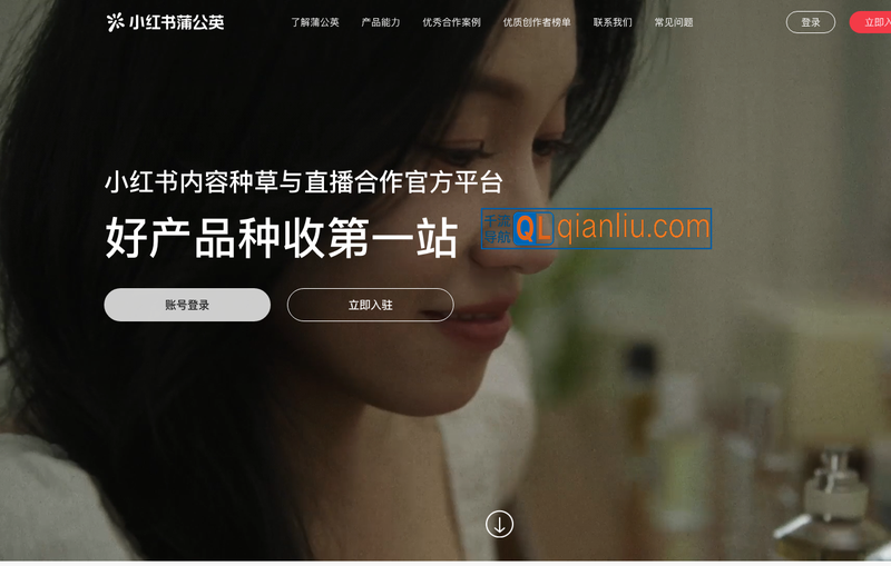 小红书蒲公英插图