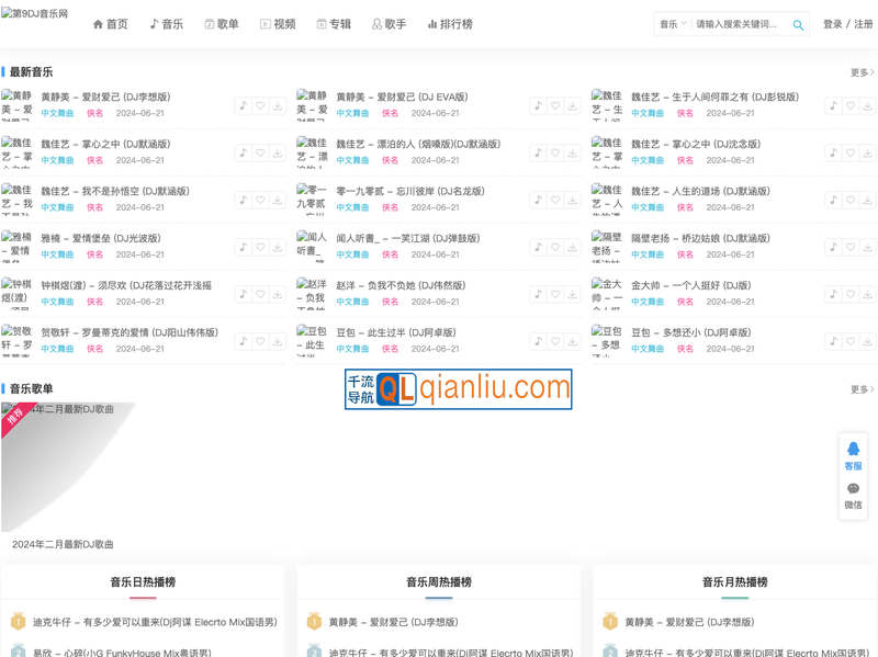 第9DJ音乐网插图