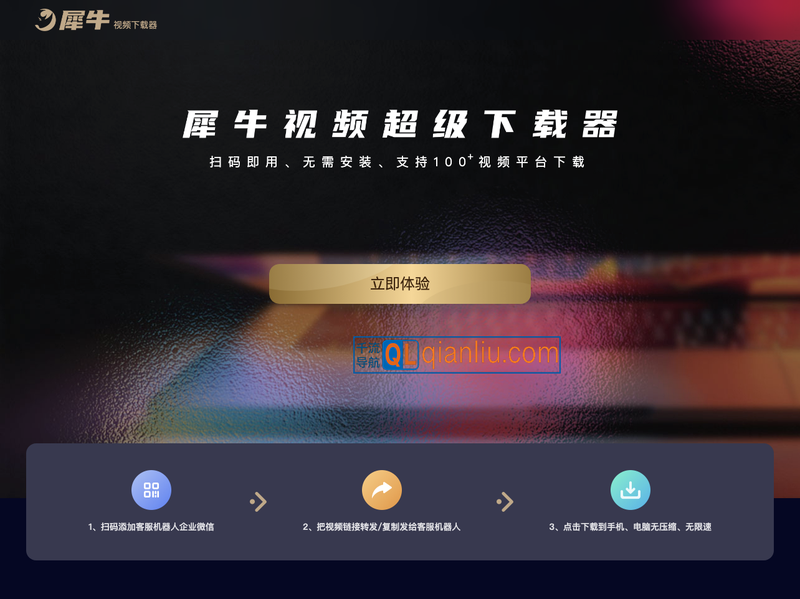 犀牛视频下载器插图