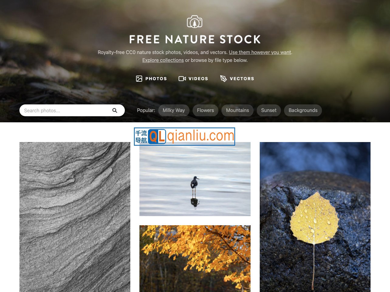 FreeNatureStock插图