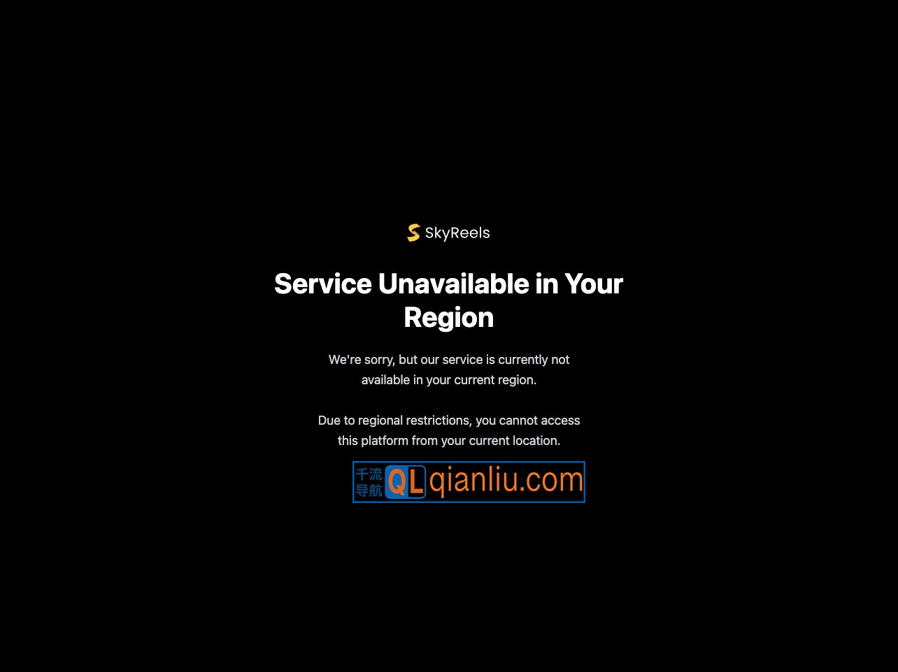 SkyReels插图