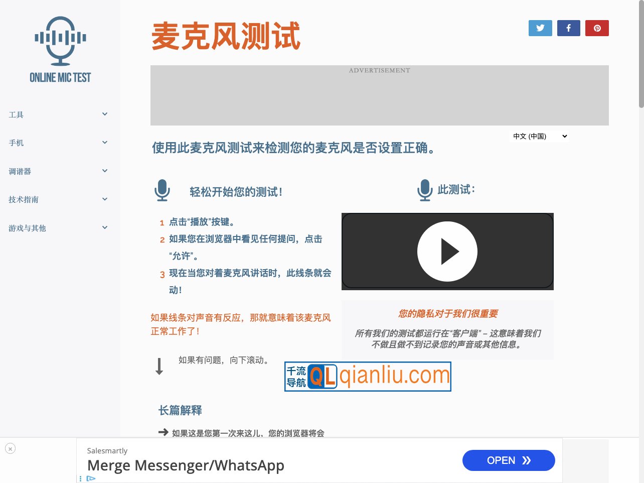 Online Mic Test插图