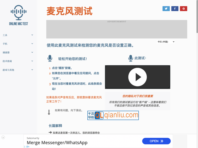 Online Mic Test插图