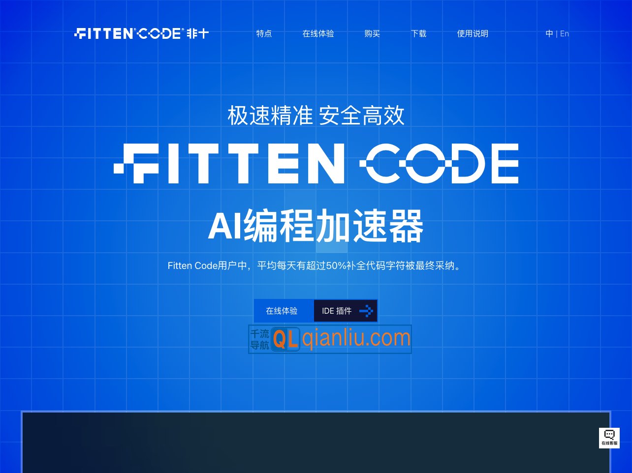 Fitten Code插图