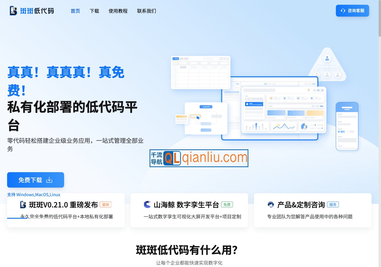 斑斑低代码插图