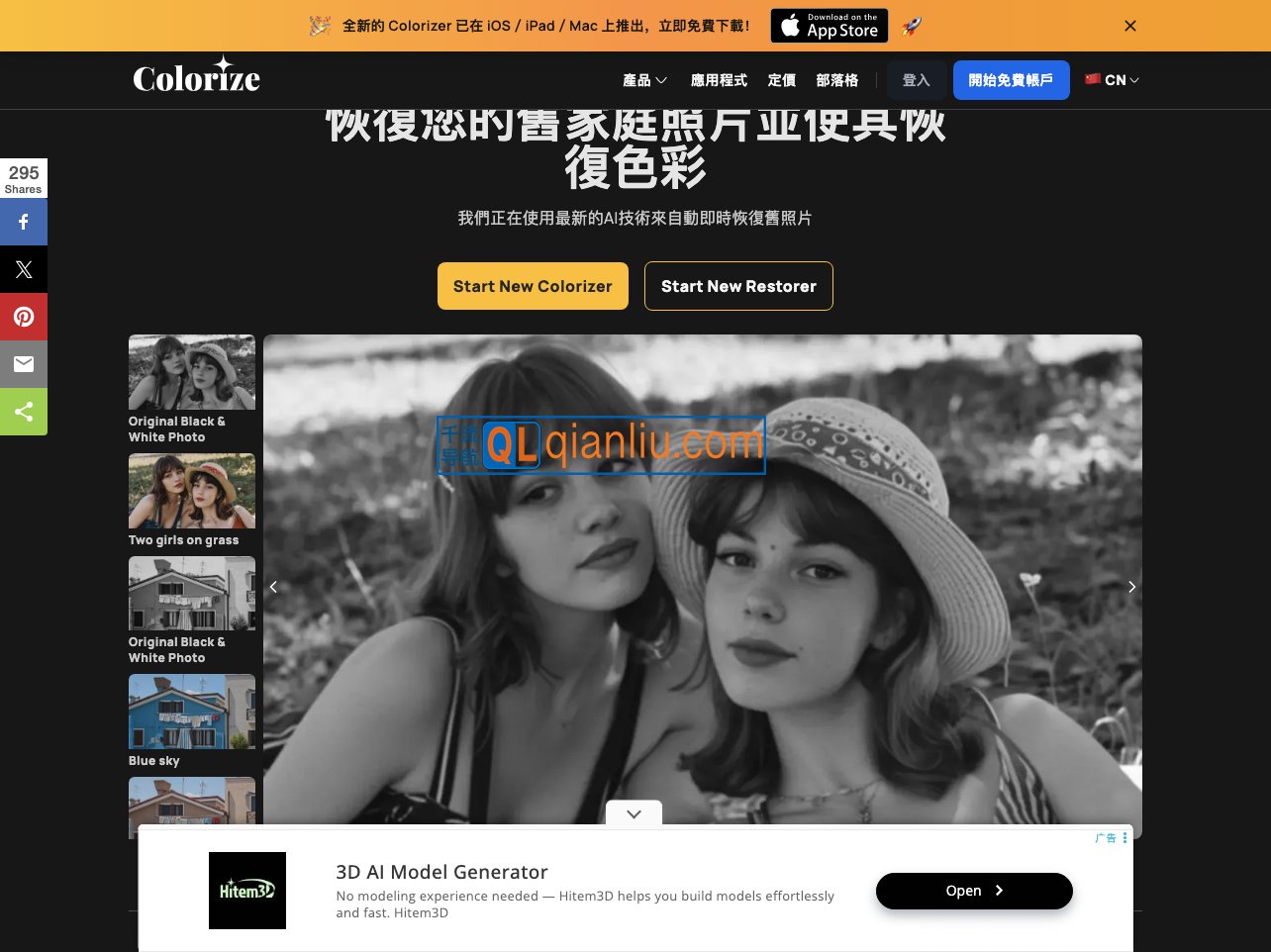 ImageColorizer插图