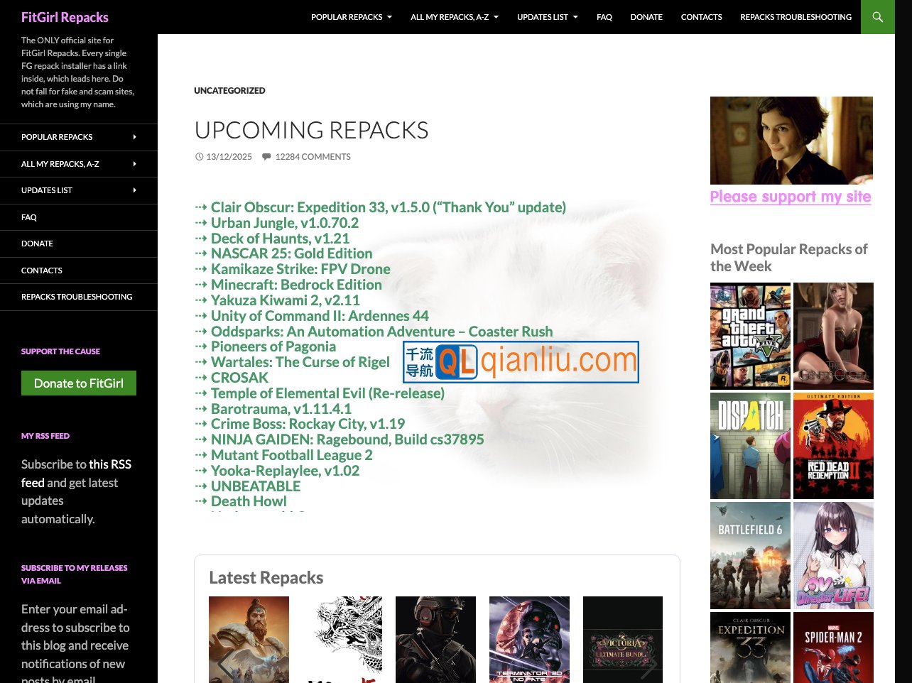 FitGirl Repacks插图